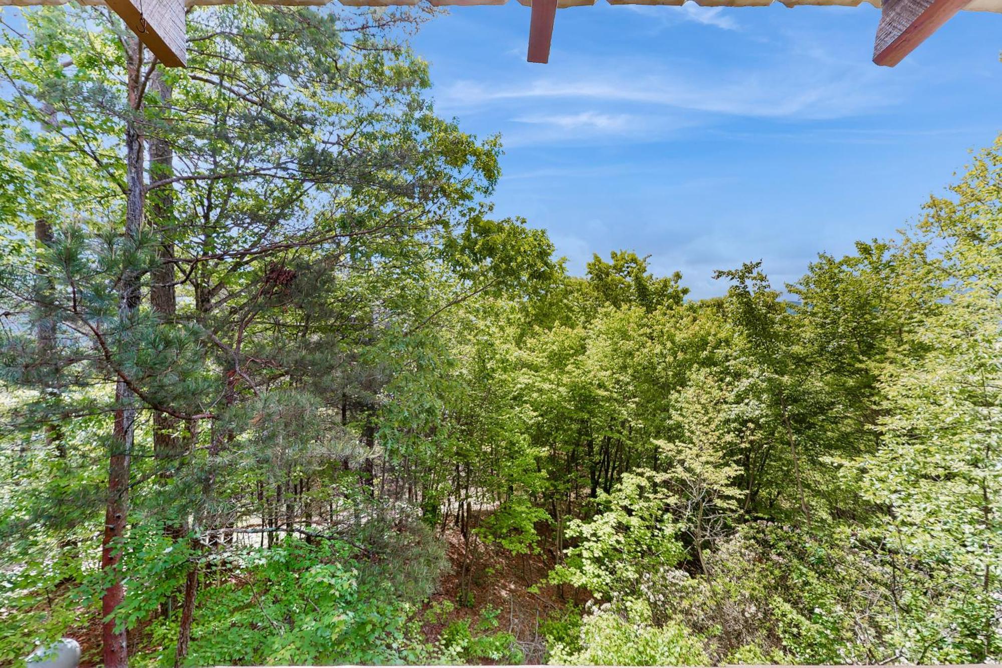 Vista Villa Блу Ридж Екстериор снимка